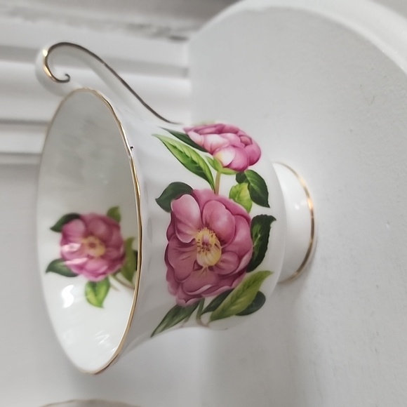 Royal Standard Fine Bone China England Tea Cup & Saucer - Picture 3 of 5